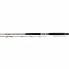Daiwa VIP-A Saltwater Spinning Rod