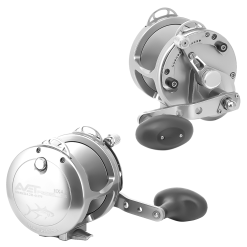 Avet Reels Avet HXW 4.2 Single Speed Reels