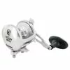 Accurate Tern2 Star Drag Conventional Reels