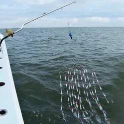 Ledge Logic Dredge Booms